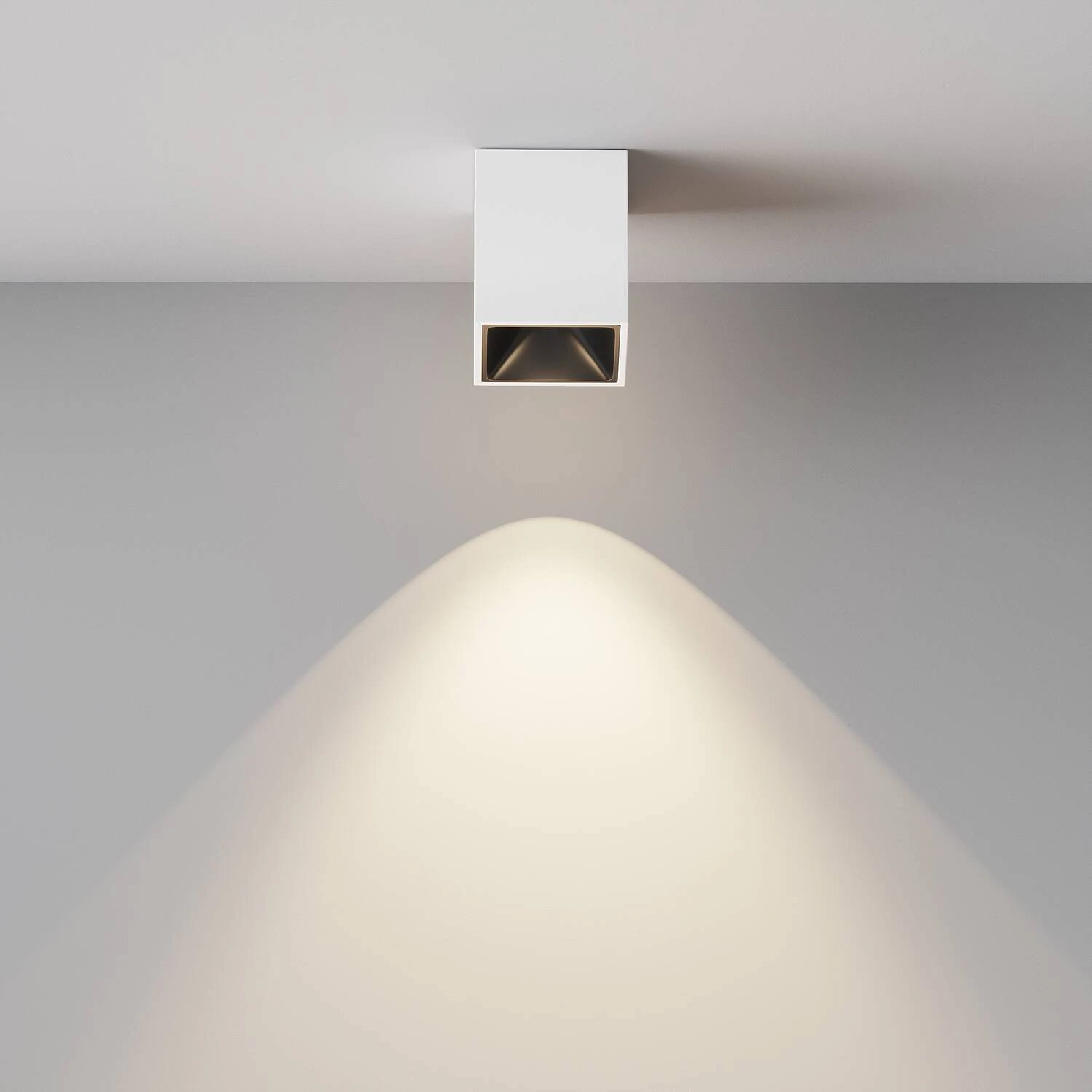 Потолочный светильник Ceiling Alfa LED 8W, 4000K, Бело-черный (Maytoni Technical, C065CL-8W4K-SQ-WB) - Amppa.ru