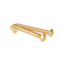 WL18-21-01/ Электроустановочные изделия - Винты для накладного выключателя 3шт. (золото) Ретро